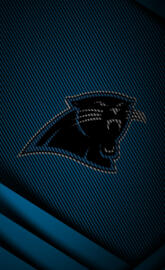 Panthers