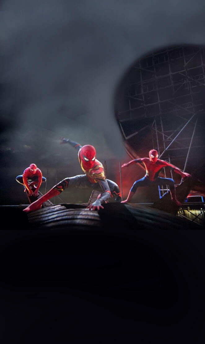 Spider-man No Way Home