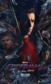 Spiderman No Way Home