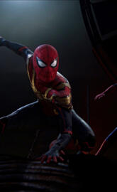 The Amazing Spiderman