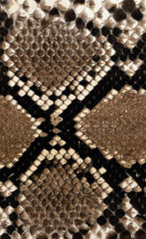 Snake Skin