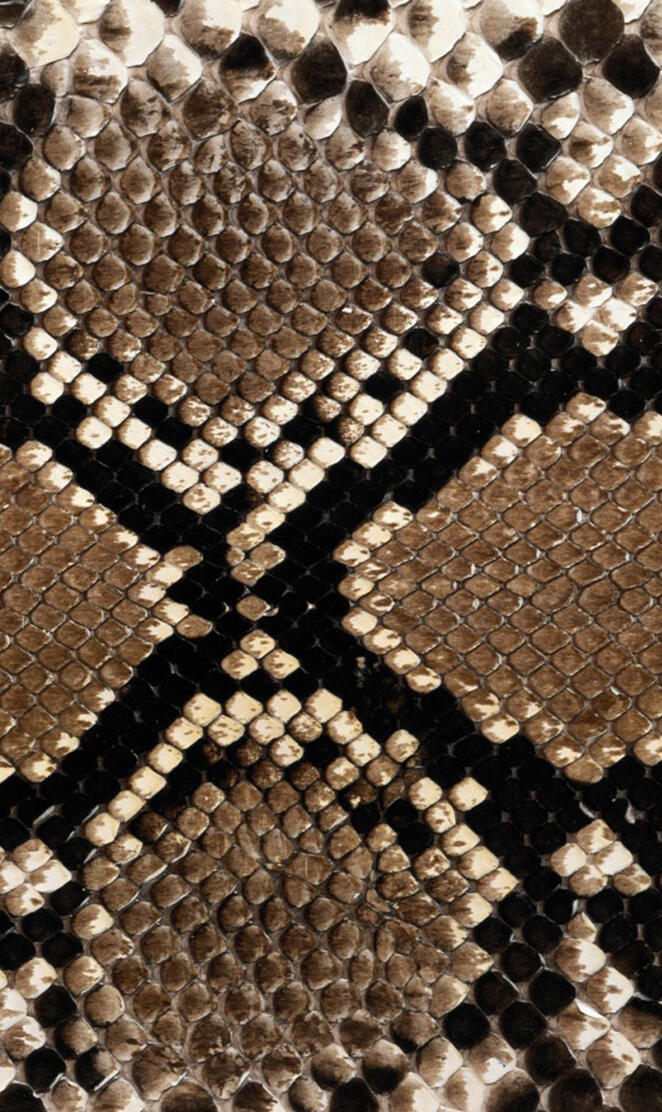Snake Skin