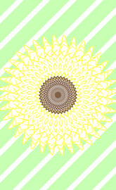 Sunflower background