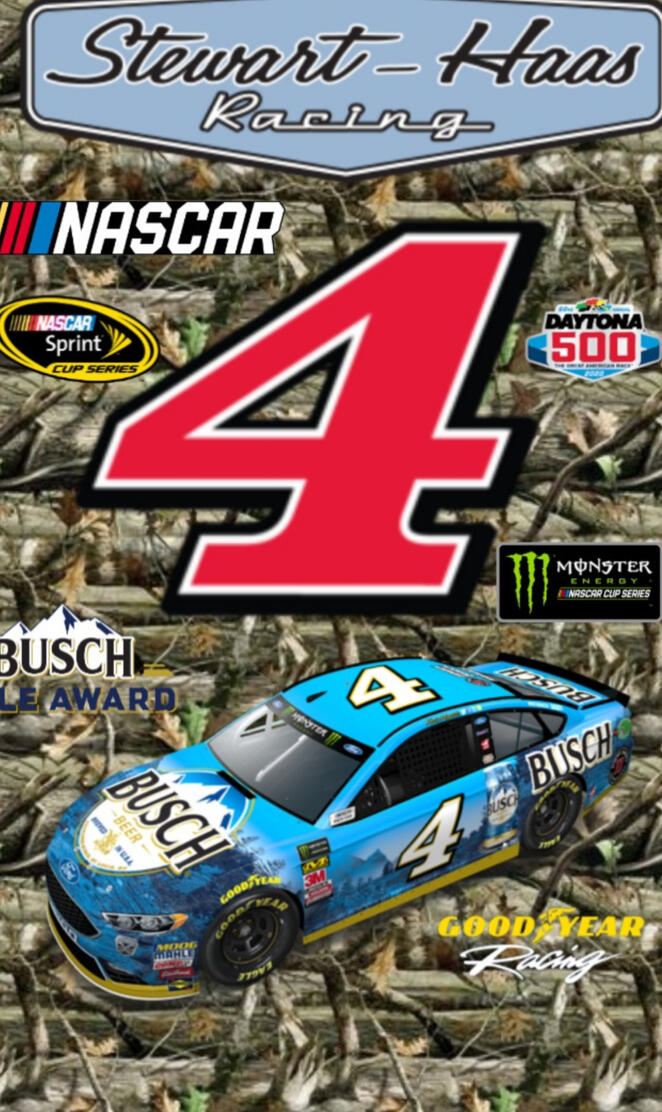 Nascar Busch 