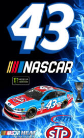 Nascar 43 Petty
