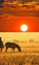 African-sunset