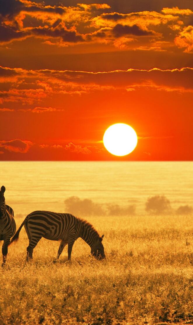 African-sunset