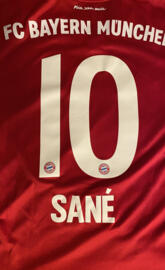 Leroy Sane