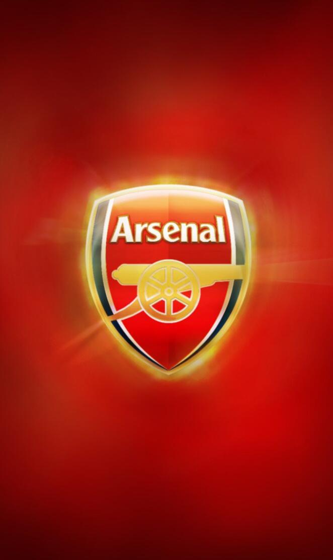 Arsenal Fc13
