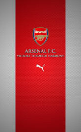 Arsenal fc