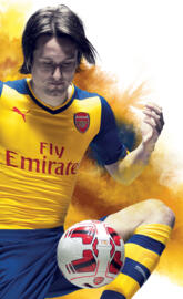 Arsenal Rosicky 2014