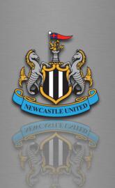 Newcastle FC