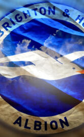 brighton hove Albion