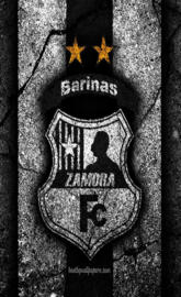 Zamora FC logo