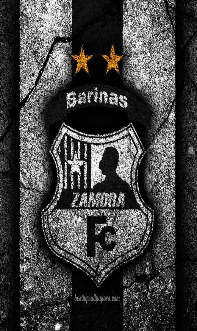 Zamora FC logo