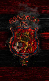 Caracas fc Logo