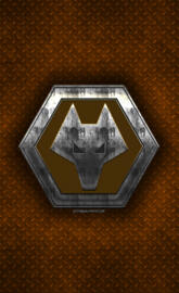 Wolves FC