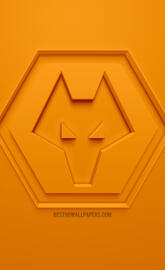 Wolves FC