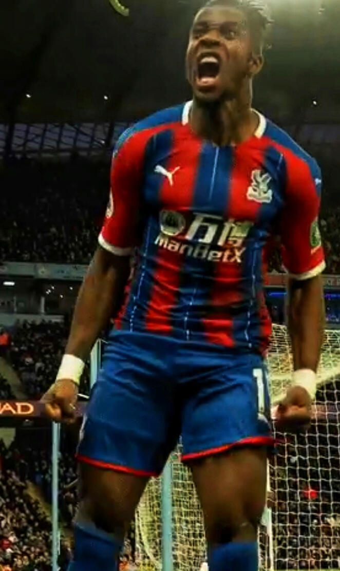 Crystal Palace fc 