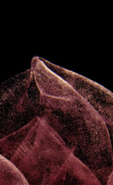 Sony Xperia Ace II 2