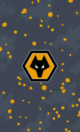 Wolves FC