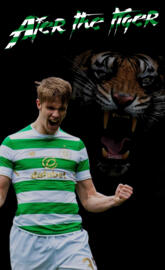 Ajer the tiger