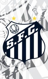 Santos Futebol Clube