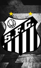 Santos Futebol Clube
