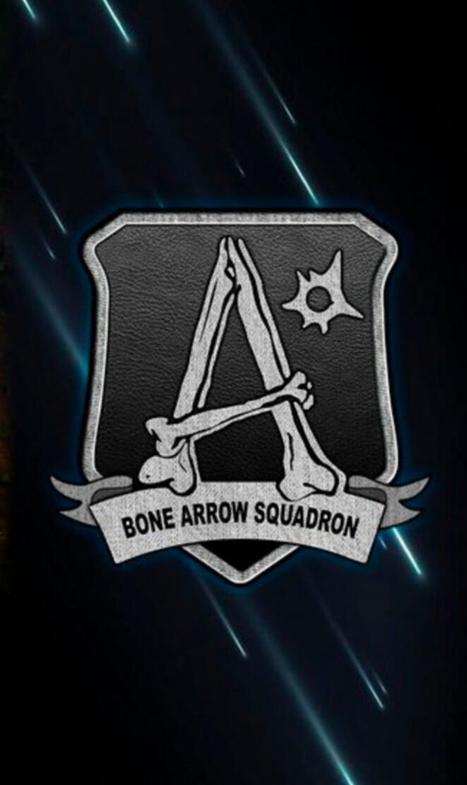 Bone Arrow Squadron
