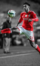 Salvio