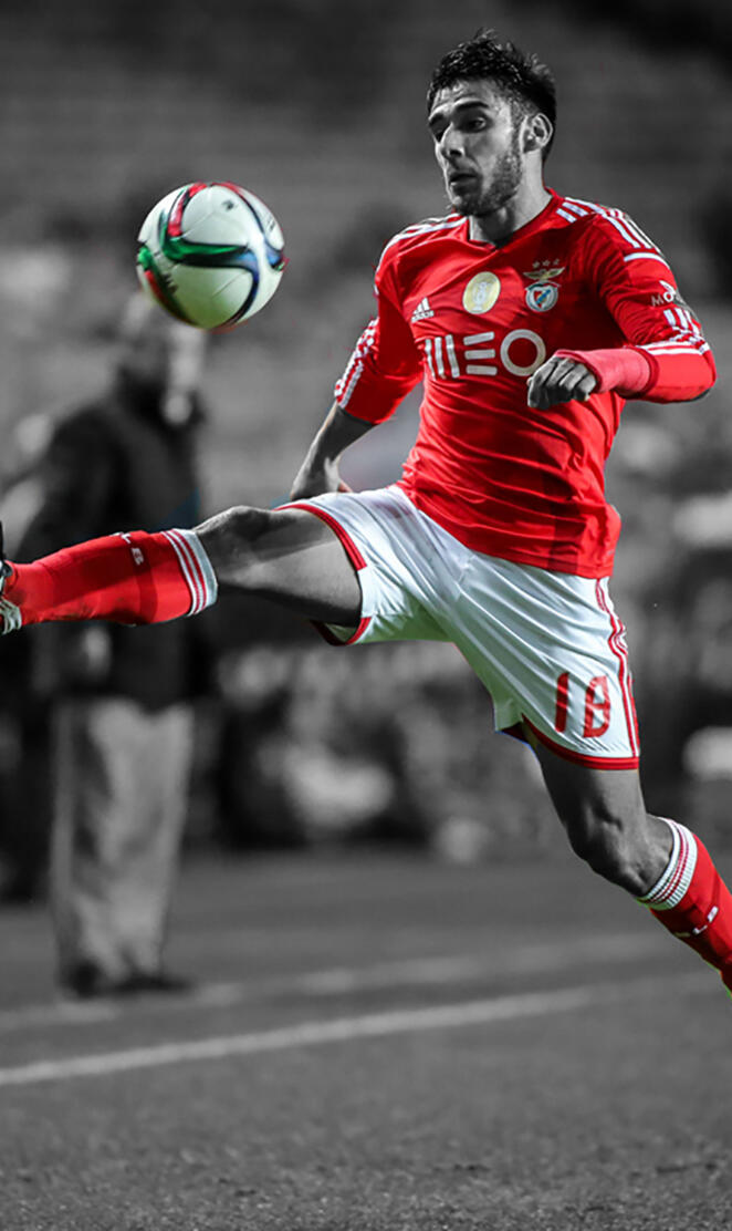Salvio