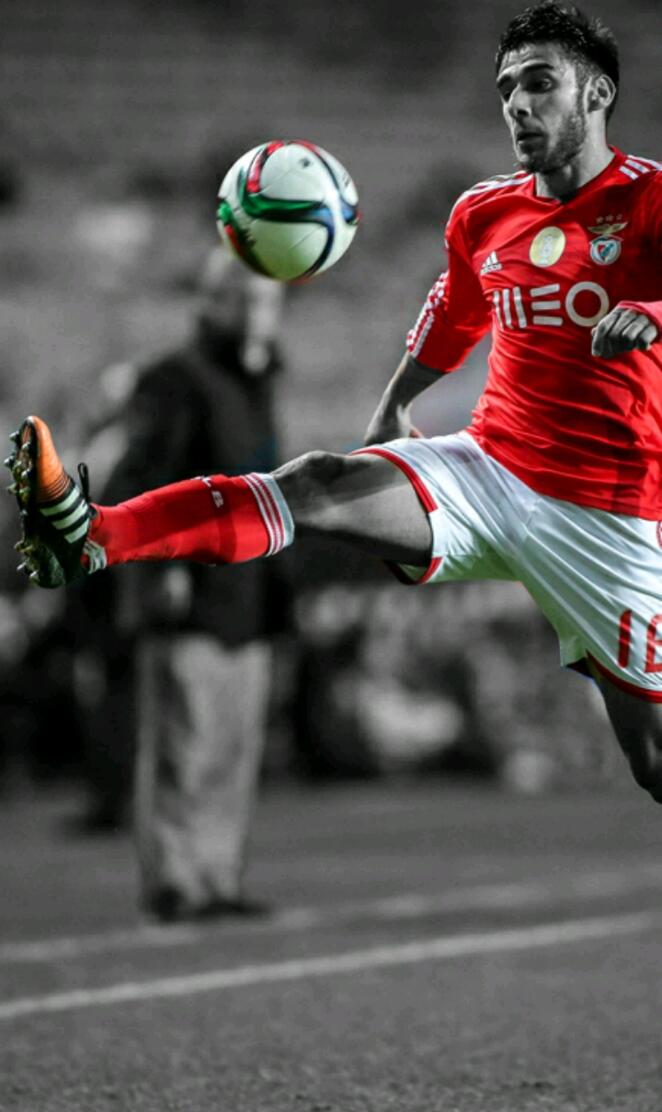 SLB salvio 2