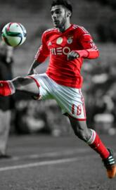 SLB salvio