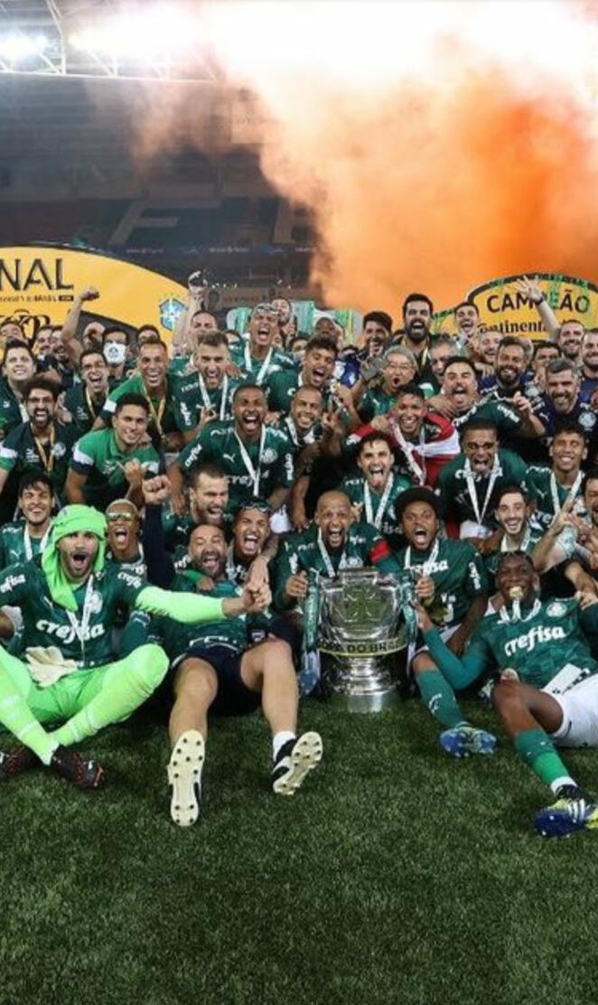 Palmeiras COPA DO BR