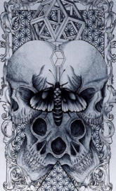 Skull Art