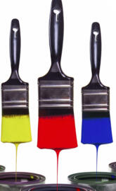 Paint Brushes
