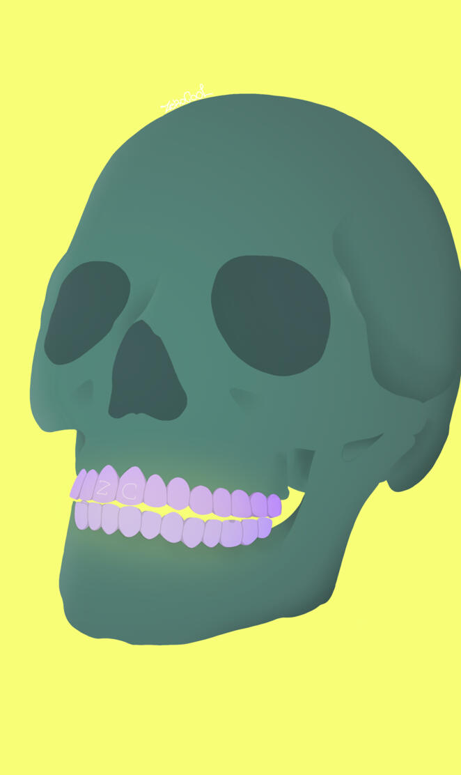 Skull
