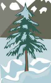 Pine Tree