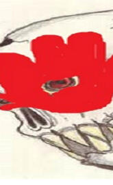 knucklehead5fdpskull