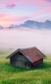 Alps Meadow Germany3
