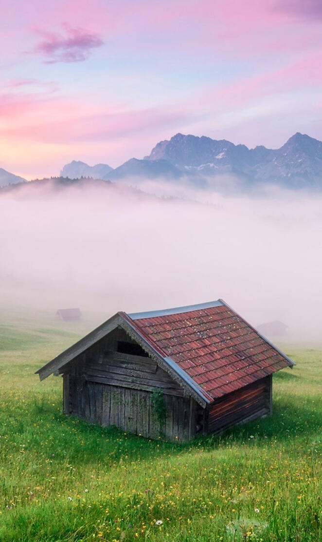 Alps Meadow Germany3