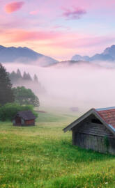 Alps Meadow Germany2
