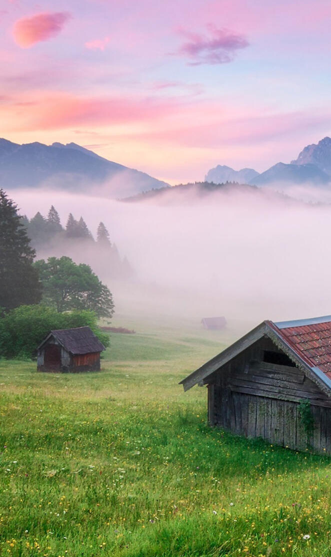 Alps Meadow Germany2