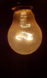 saca el foco crikoso