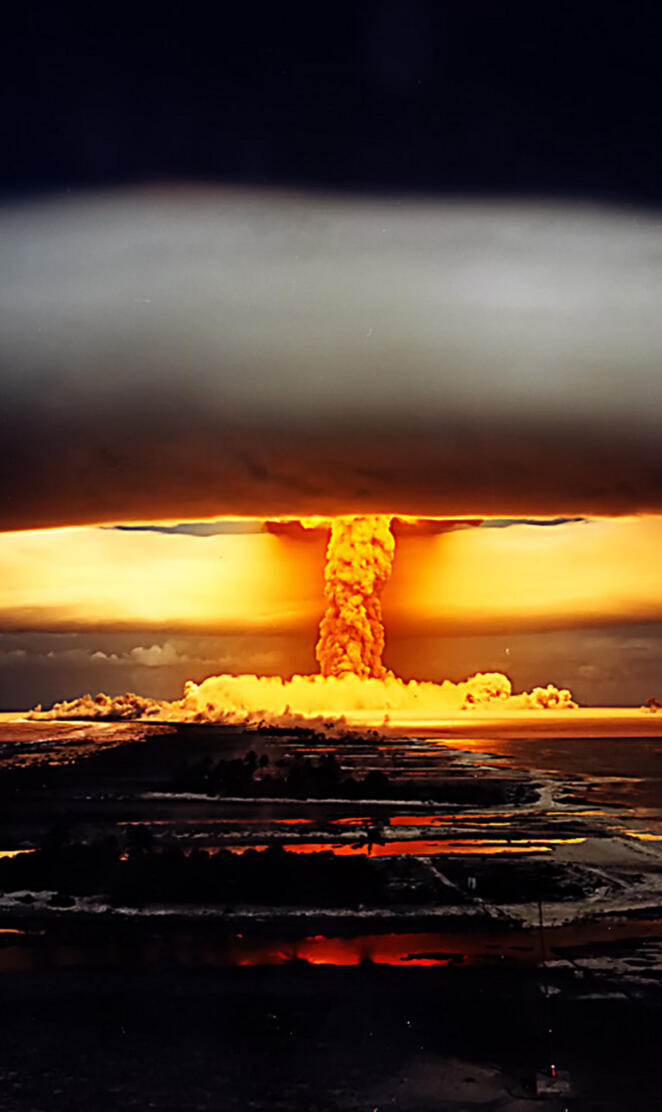 Japan Mushrom Effect