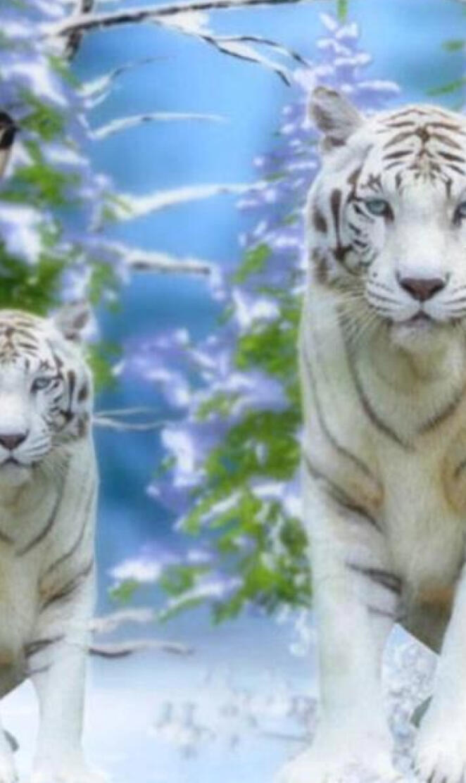 White Tiger 2