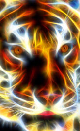 Tiger Fractal