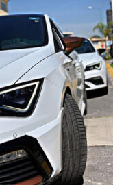 Cupra brothers