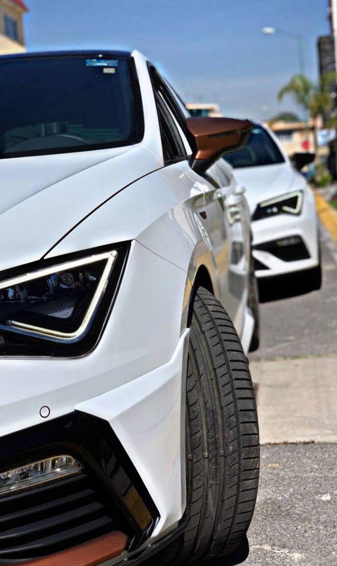 Cupra brothers