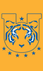Tigres UANL